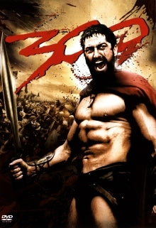 300 GEBRAUCHT