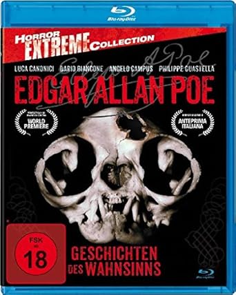 Edgar Allan Poe - Geschichten des Wahnsinns