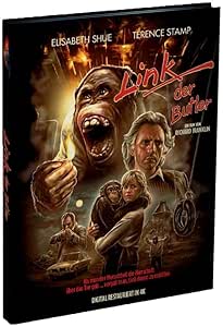 Link, der Butler - Mediabook - Limited Edition (+ DVD) [Blu-ray]