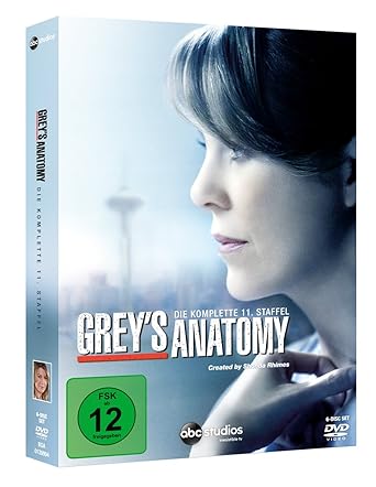 Grey's Anatomy - Staffel 11 [6 DVDs]  GEBRAUCHT