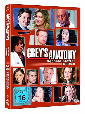 Grey's Anatomy: Die jungen Ärzte - Sechste Staffel, Teil Zwei [3 DVDs]  GEBRAUCHT
