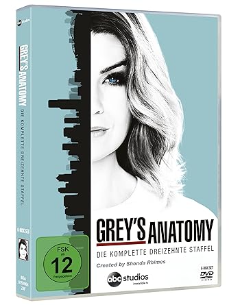 Grey's Anatomy - Die komplette dreizehnte Staffel [6 DVDs]  GEBRAUCHT